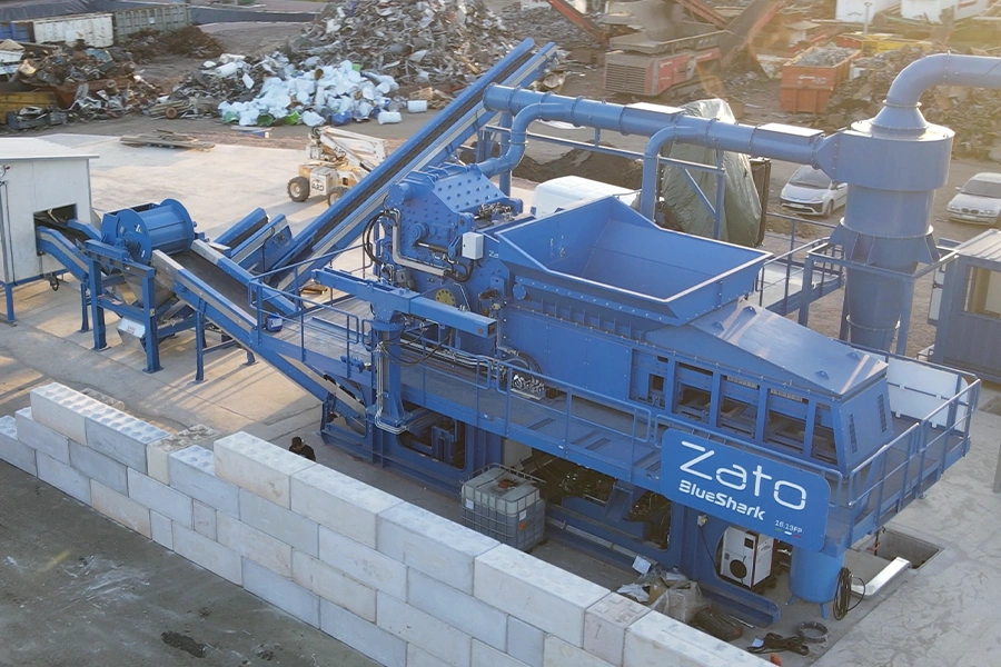 Blue Shark Zato